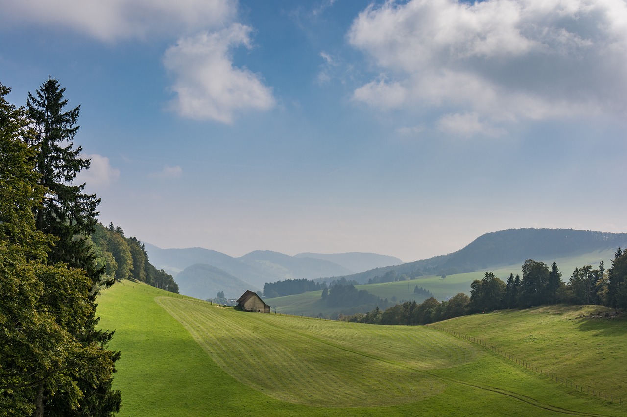 Gamta, Panorama, Kraštovaizdis, Medis, Žolė, Kalnas, Dangus, Vasara, Pieva, Kelionė