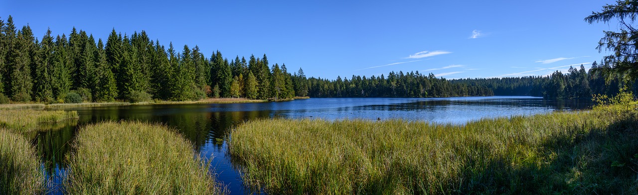 Gamta, Ežeras, Vandenys, Panorama, Atspindys, Vasara, Kraštovaizdis, Idiliškas, Kaimas, Nemokamos Nuotraukos