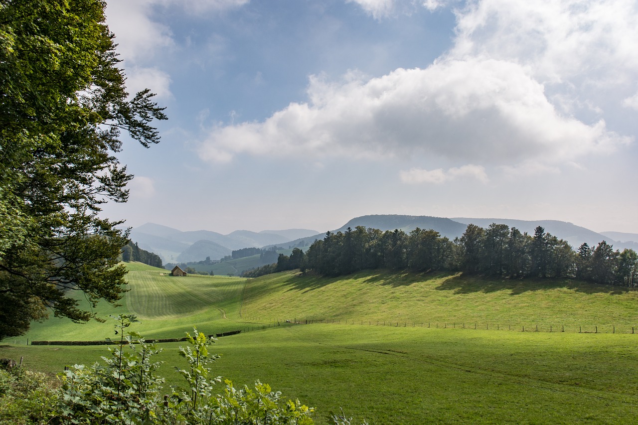 Gamta, Kraštovaizdis, Panorama, Medis, Žolė, Kalnas, Vasara, Dangus, Pieva, Idiliškas