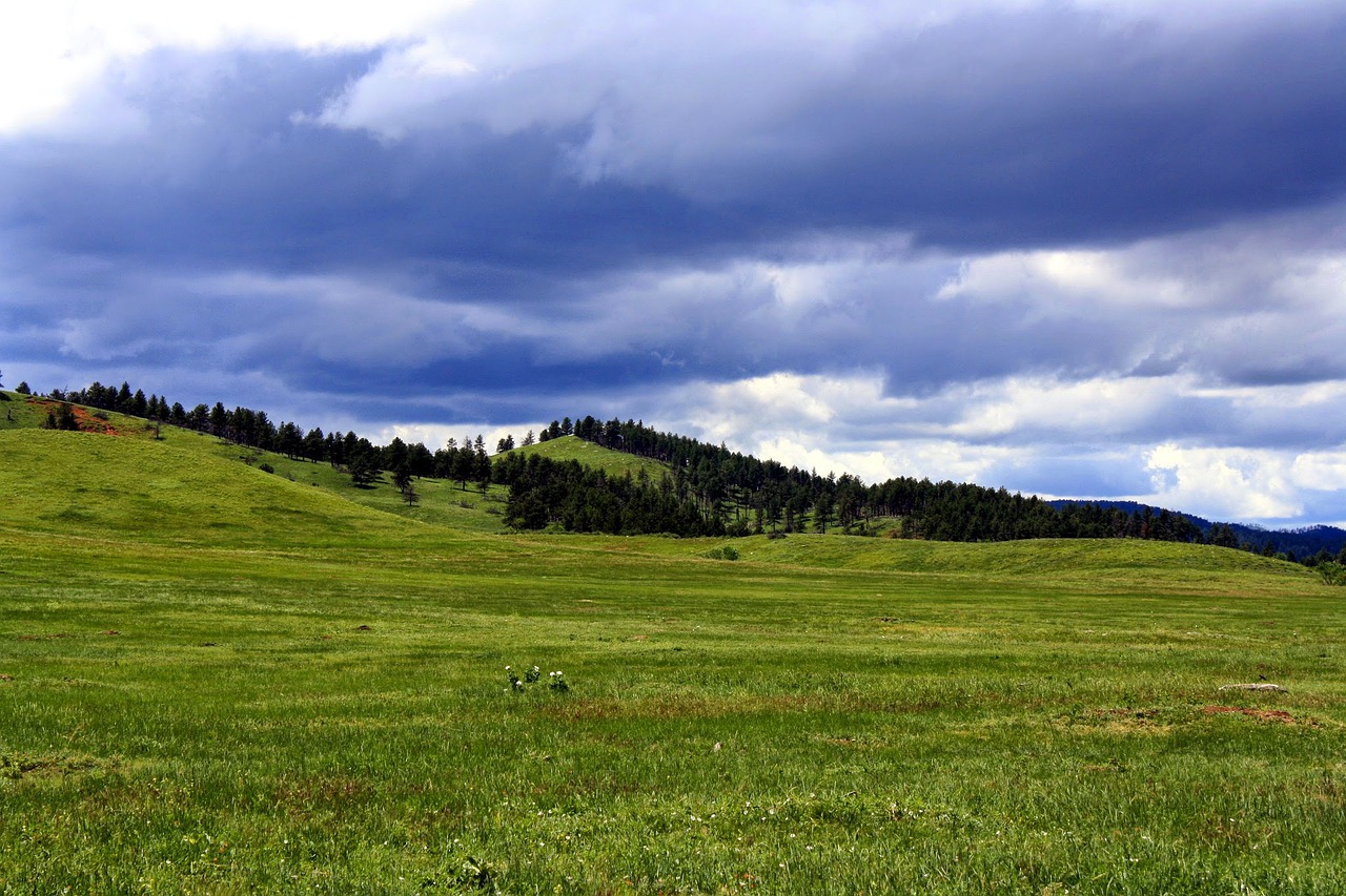 Gamta, Panoraminis, Kraštovaizdis, Žolė, Dangus, Debesis, Kaimas, Nemokamos Nuotraukos,  Nemokama Licenzija