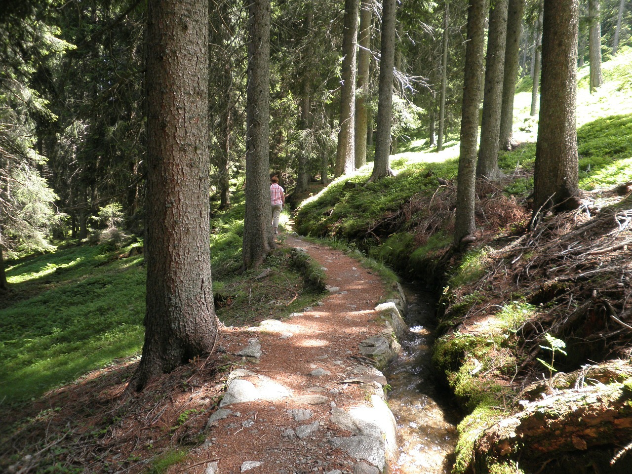 Gamta, Kraštovaizdis, South Tyrol, Miškas, Toli, Bachas, Nemokamos Nuotraukos,  Nemokama Licenzija