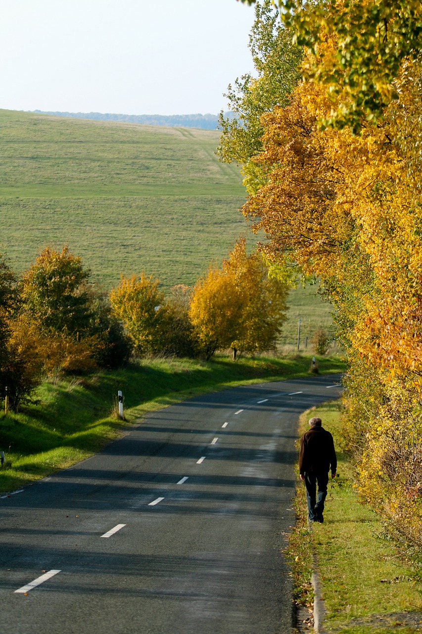 Gamta, Medis, Kelias, Žolė, Nemokamos Nuotraukos,  Nemokama Licenzija