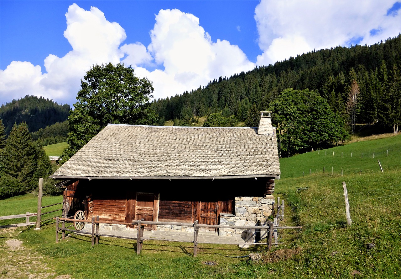 Gamta,  France,  Alpės,  Haute Savoie,  Veja,  Mediena,  Medis,  Namas,  Lauke,  Seni Namai