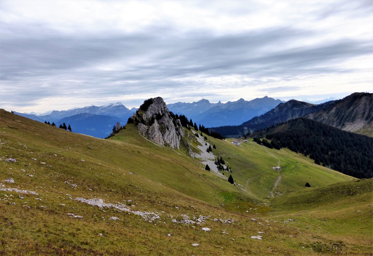 Gamta,  France,  Alpės,  Kalnas,  Kraštovaizdis,  Panoraminis,  Lauke,  Veja,  Vasara,  Be Honoraro Mokesčio