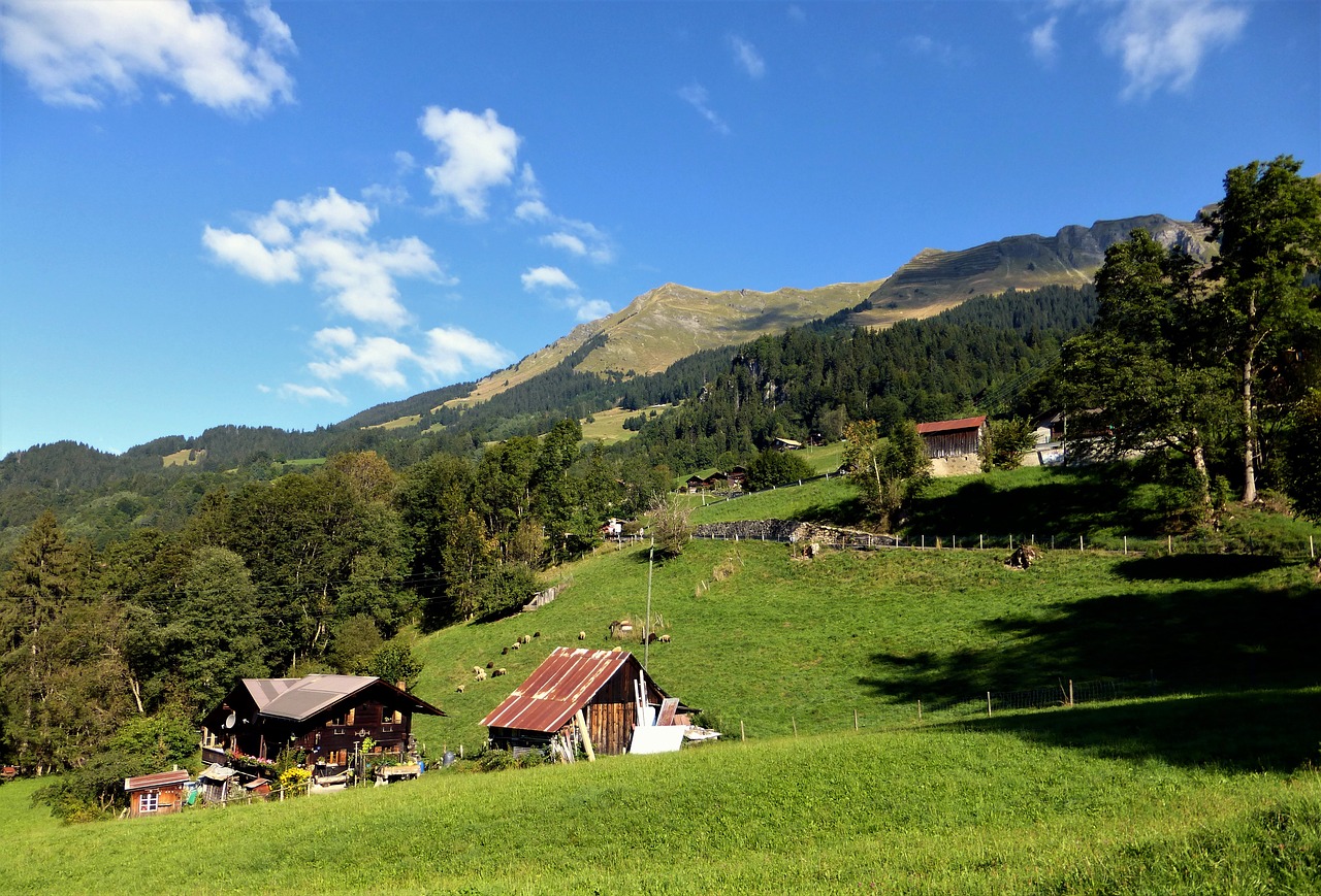 Gamta,  France,  Alpės,  Namas,  Veja,  Kalnas,  Lauke,  Kraštovaizdis,  Vasara,  Panoraminis