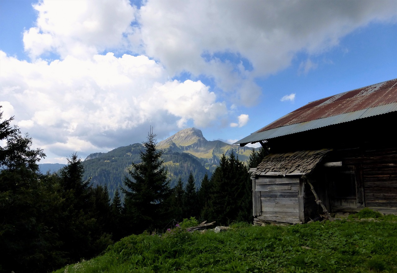 Gamta,  France,  Alpės,  Lauke,  Panoraminis,  Kalnas,  Mediena,  Medis,  Chalet,  Pieva