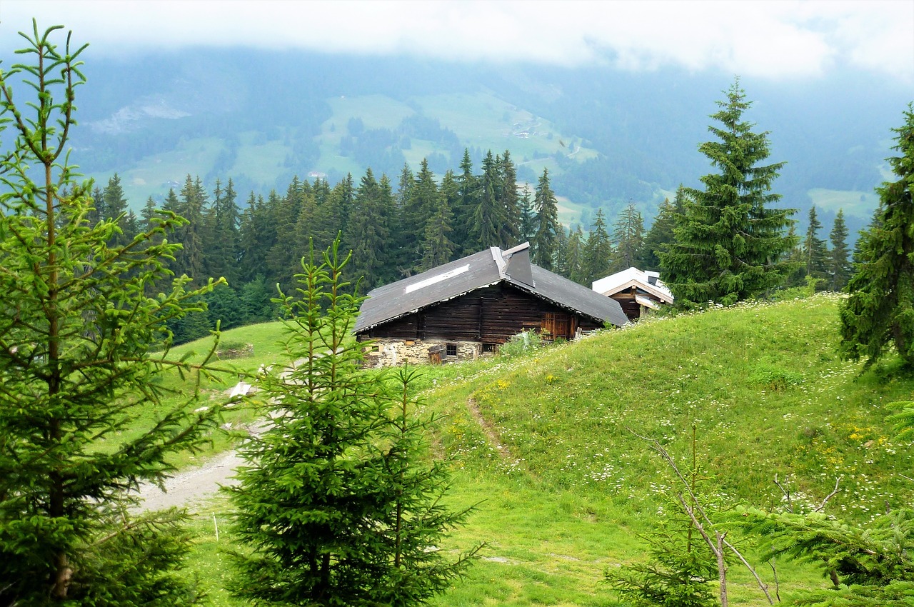 Gamta,  Mediena,  Medis,  Kraštovaizdis,  Lauke,  Chalet,  Panoraminis,  Vasara,  Kalnas,  Prairie