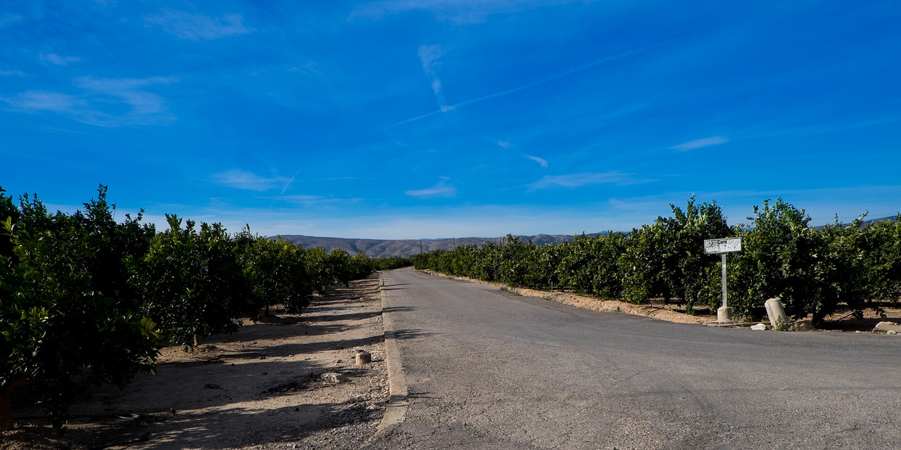 Gamta,  Kelias,  Kelionė,  Panoraminis,  Dangus,  Kelias,  Oranžinė,  Be Honoraro Mokesčio, Nemokamos Nuotraukos,  Nemokama Licenzija