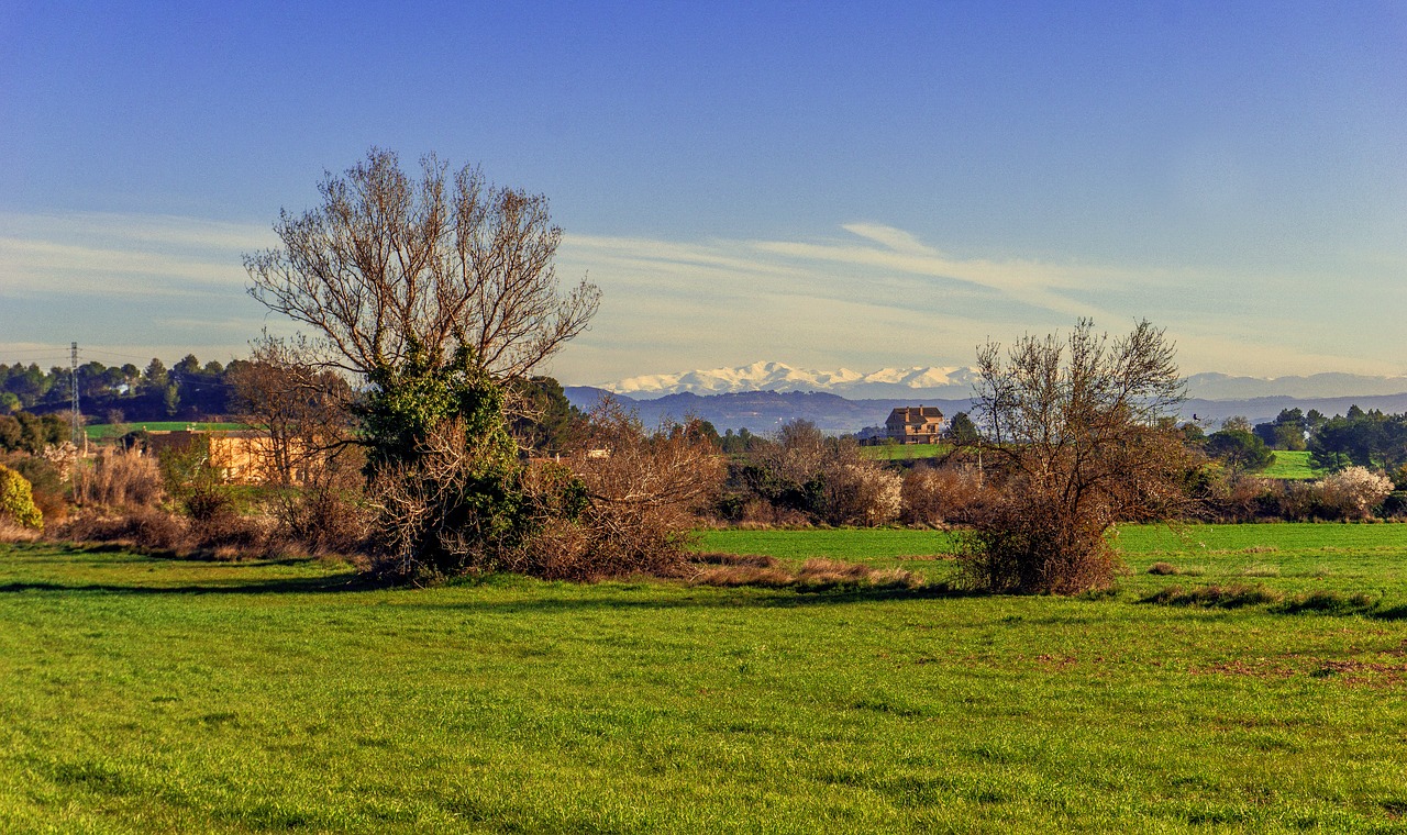 Gamta,  Veja,  Medis,  Kraštovaizdis,  Panoraminis,  Lauke,  Dangus,  Laukas,  Henar,  Kaimo Vietovė