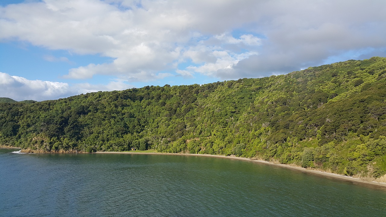 Gamta,  Vanduo,  Panoraminis,  Dangus,  Kraštovaizdis,  Vaizdingas,  Kelionė,  Marlboro Garsai,  Picton,  Naujoji Zelandija