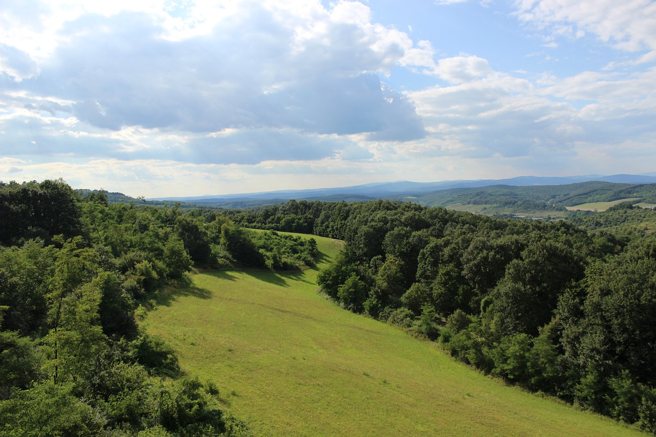 Gamta,  Kraštovaizdis,  Mediena,  Panorama,  Kalnas,  Kaimo Kraštovaizdis,  Ekskursija,  Kalnas,  Saulės Šviesa,  Kalvos