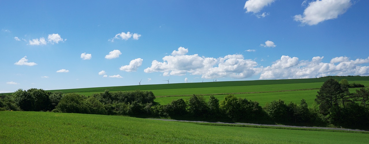 Gamta,  Panorama,  Vasara,  Kraštovaizdis,  Be Honoraro Mokesčio, Nemokamos Nuotraukos,  Nemokama Licenzija