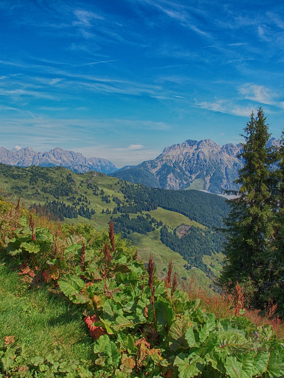 Gamta,  Kraštovaizdis,  Kalnas,  Kelionė,  Dangus,  Vasara,  Augalas,  Medis,  Slėnis,  Vaizdingas