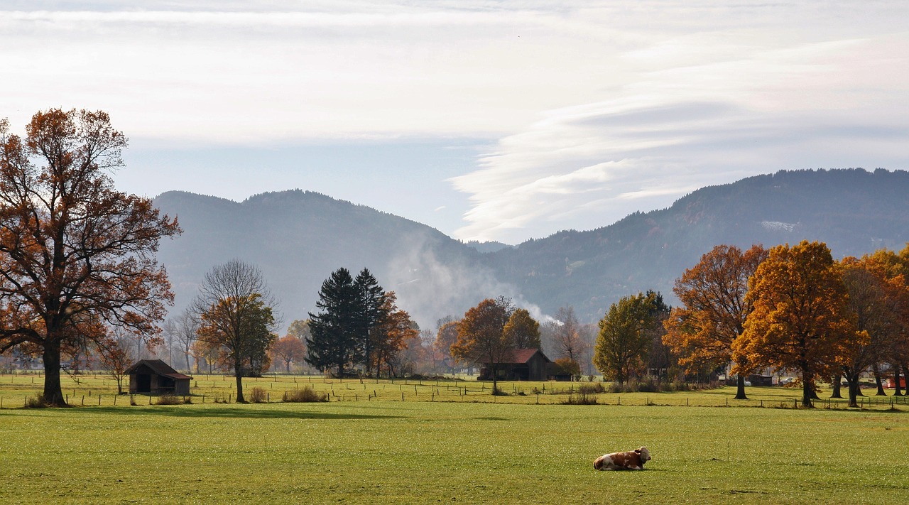 Gamta,  Kraštovaizdis,  Medis,  Panorama,  Žolė,  Dangus,  Ruduo,  Pieva,  Horizontalus,  Kalnas