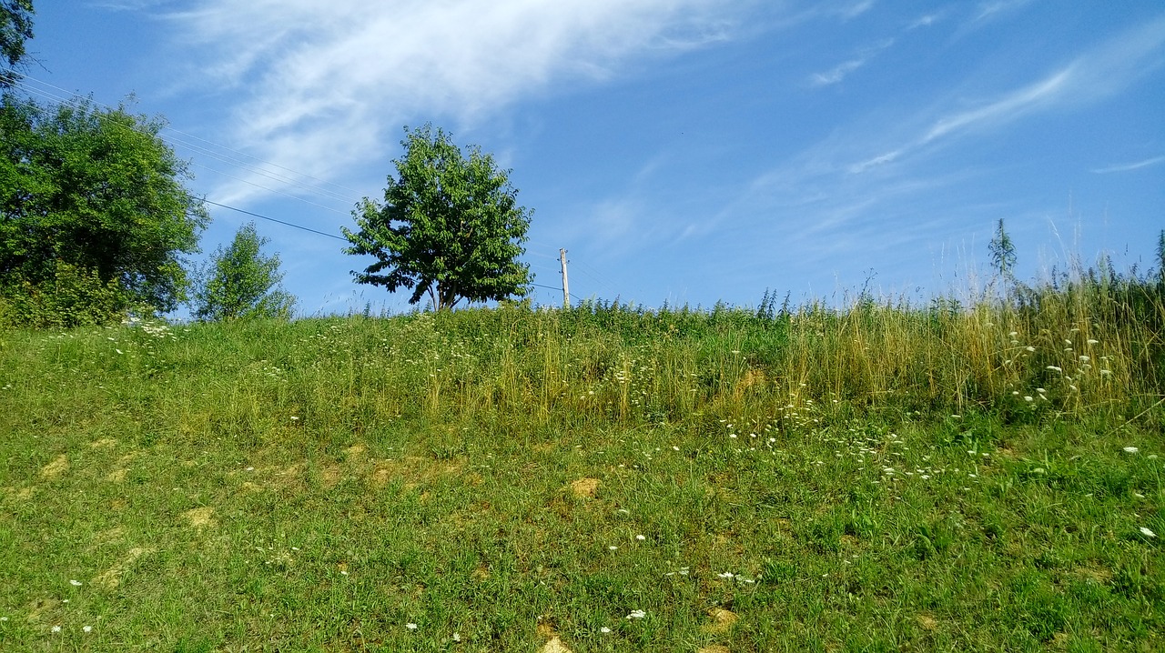 Gamta,  Panoraminis,  Žolė,  Kraštovaizdis,  Hayfield,  Be Honoraro Mokesčio, Nemokamos Nuotraukos,  Nemokama Licenzija