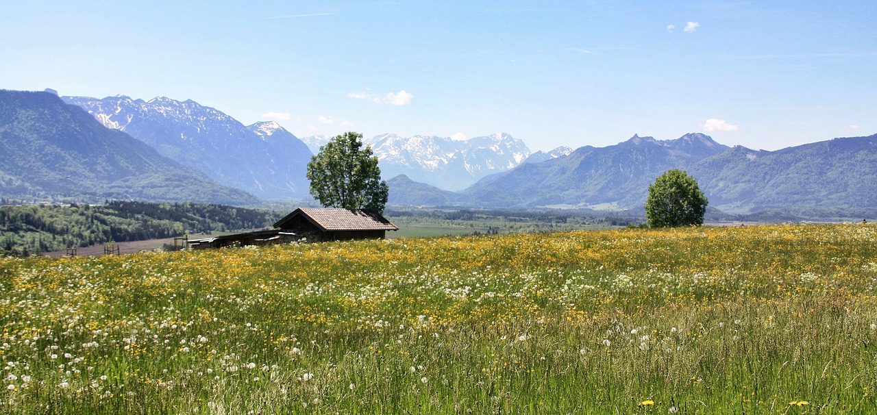 Gamta,  Kalnas,  Panorama,  Kraštovaizdis,  Žolė,  Dangus,  Kelionė,  Vasara,  Pieva,  Kalnas