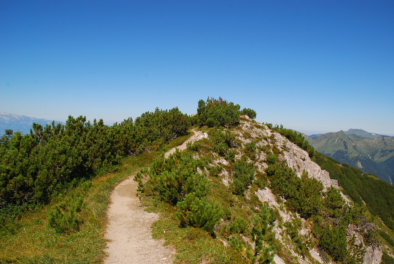 Gamta,  Dangus,  Kelionė,  Kraštovaizdis,  Kalnas,  Panorama,  Vasara,  Žolė,  Schönwetter,  Be Honoraro Mokesčio