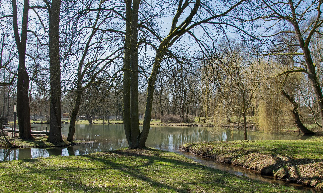 Pobūdį,  Medis,  Kraštovaizdis,  Sezonas,  Vandenys,  Žolė,  Parkas, Nemokamos Nuotraukos,  Nemokama Licenzija