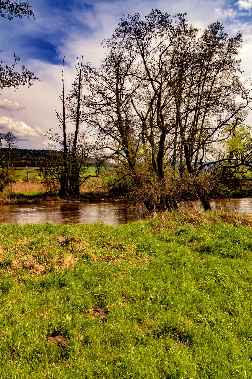 Pobūdį,  Kraštovaizdis,  Panorama,  Medis, Nemokamos Nuotraukos,  Nemokama Licenzija