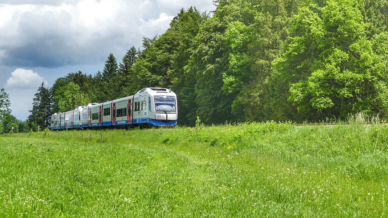 Pobūdį,  Žolė,  Vasara,  Medis, Nemokamos Nuotraukos,  Nemokama Licenzija