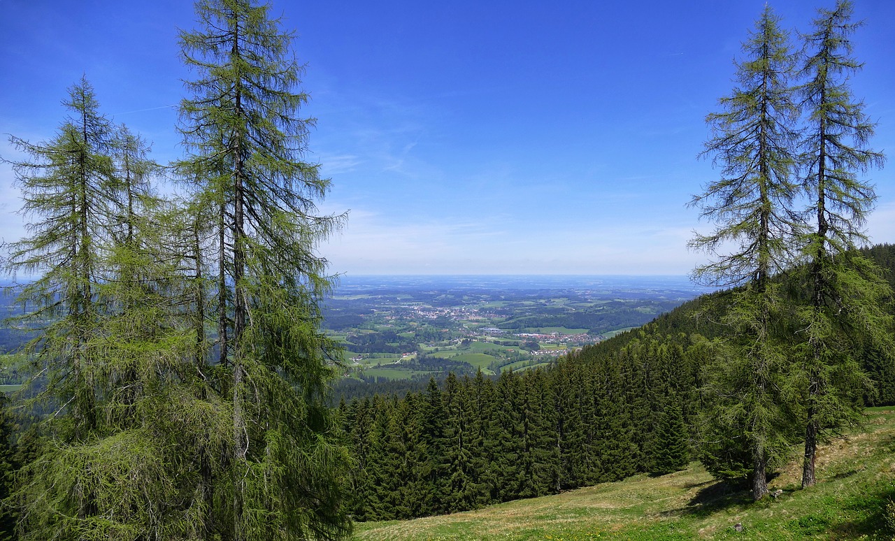 Pobūdį,  Mediena,  Medis,  Kraštovaizdis,  Dangus,  Kalnų,  Tegernsee,  Peržiūrėti,  Panorama, Nemokamos Nuotraukos