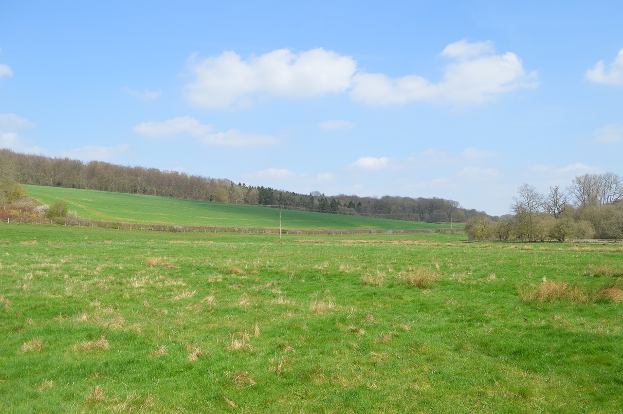 Pobūdį,  Žolė,  Kraštovaizdis,  Laukas,  Panoraminis,  Lauke,  Atspindys,  Aplinka,  Dangus,  Vasara