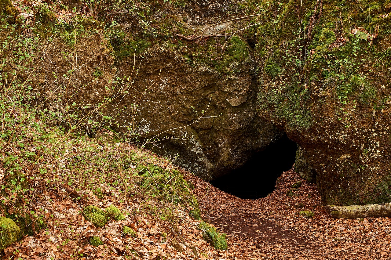 Pobūdį,  Akmuo,  Kraštovaizdis,  Mediena,  Ledo Urvas Birresborn,  Eifel,  Vulkaneifel,  Prisijungti,  Miškai,  Miškas