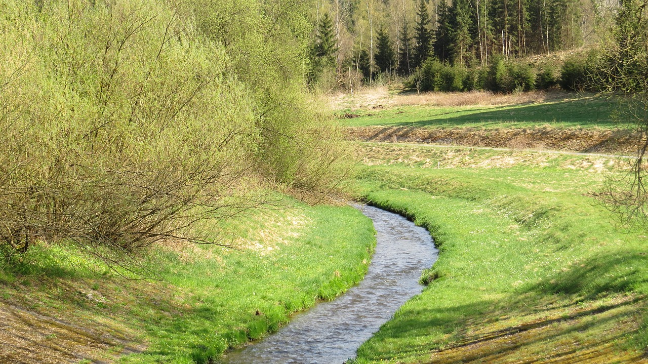 Pobūdį,  Žolė,  Kraštovaizdis,  Medis, Nemokamos Nuotraukos,  Nemokama Licenzija