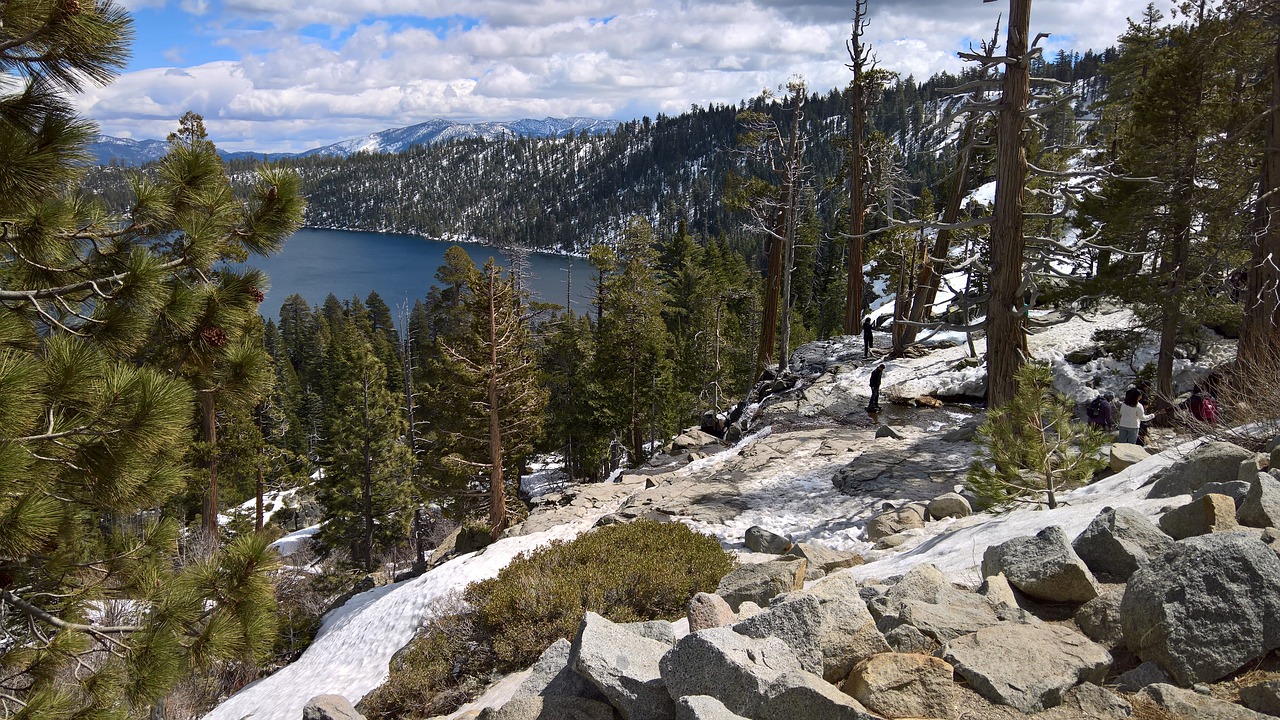 Pobūdį,  Sniegas,  Kalnų,  Kraštovaizdis,  Medis,  Lake Tahoe, Nemokamos Nuotraukos,  Nemokama Licenzija