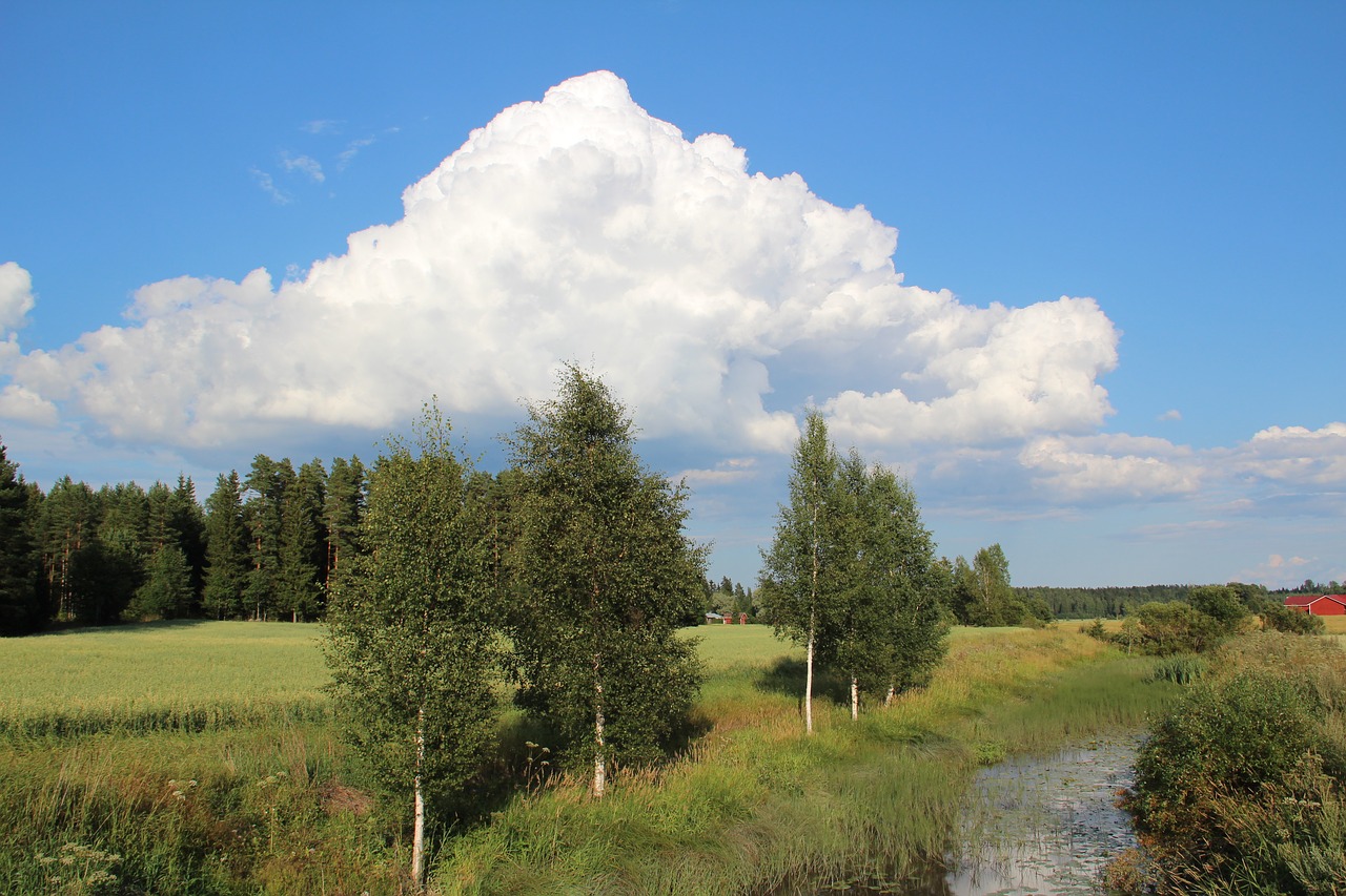 Pobūdį,  Žolė,  Medis,  Panorama,  Lauke,  Upė,  Debesys, Nemokamos Nuotraukos,  Nemokama Licenzija