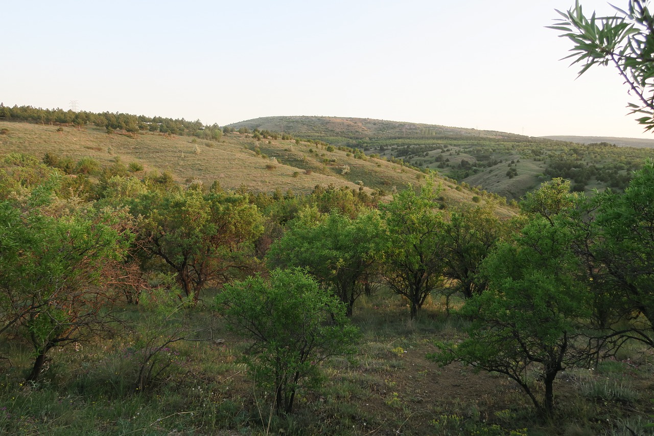 Pobūdį,  Kalnų,  Medis,  Panoraminis,  Dangus, Nemokamos Nuotraukos,  Nemokama Licenzija