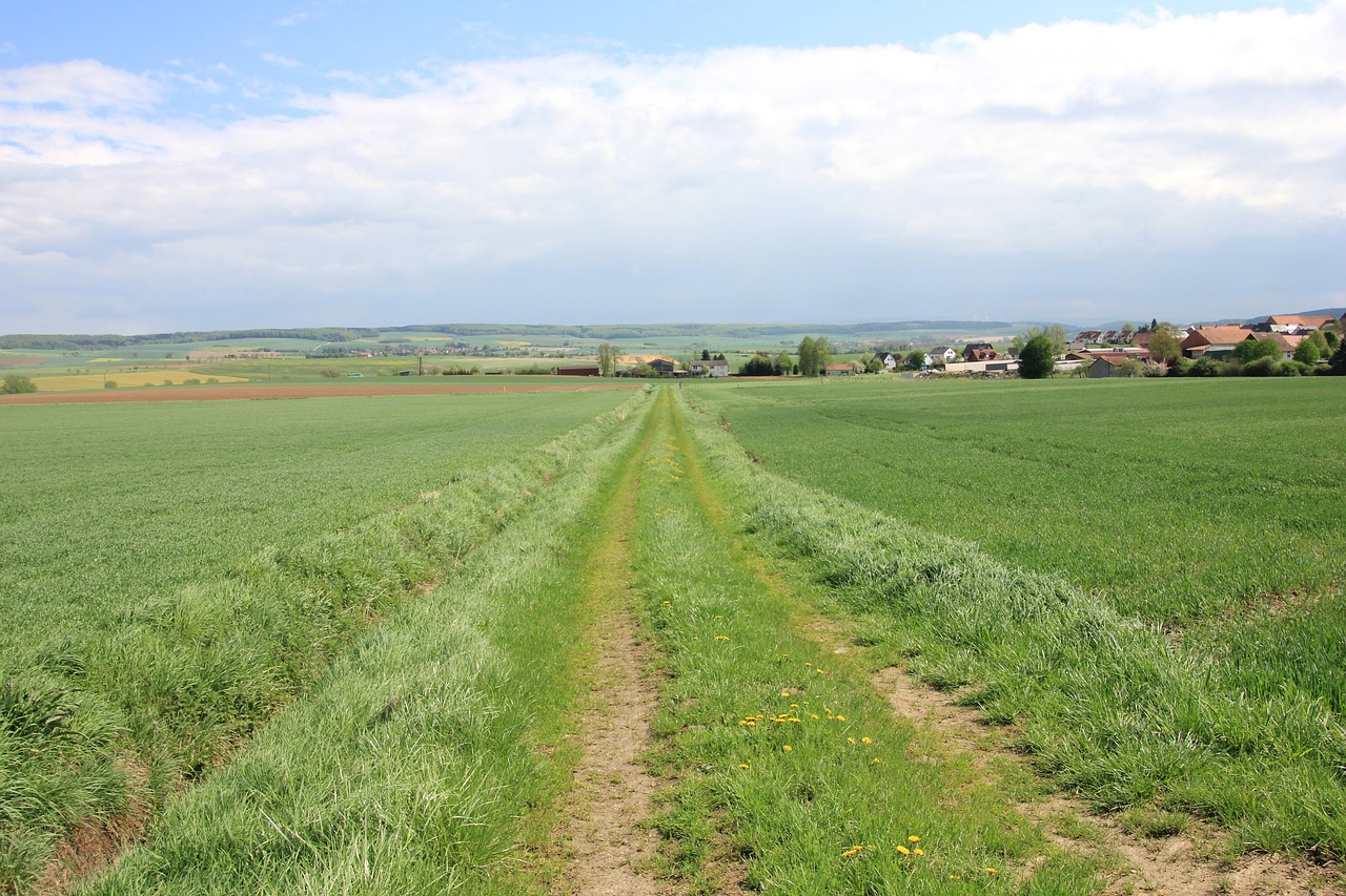 Pobūdį,  Žolė,  Laukas,  Vasara,  Žemdirbystė,  Kraštovaizdis,  Kaimo,  Dangus,  Žemės,  Meadow