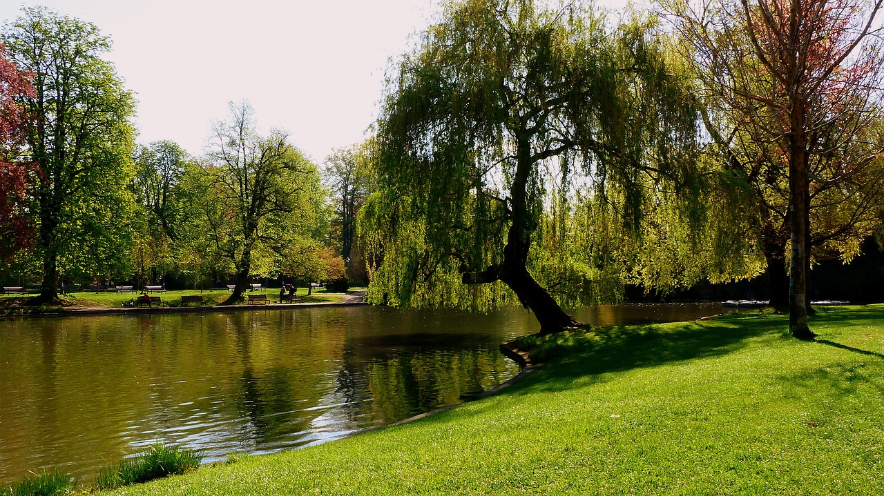 Pobūdį,  Prancūzija,  Strasbūre,  Oranžerija,  Medis,  Vejos,  Kraštovaizdis,  Parkas,  Lapai,  Žalias