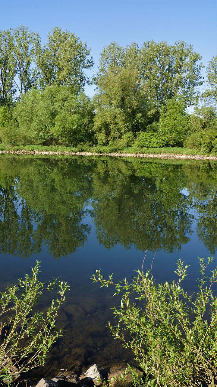 Pobūdį,  Vandenys,  Medis,  Vasara,  Atspindys,  Upė,  Kraštovaizdis, Nemokamos Nuotraukos,  Nemokama Licenzija