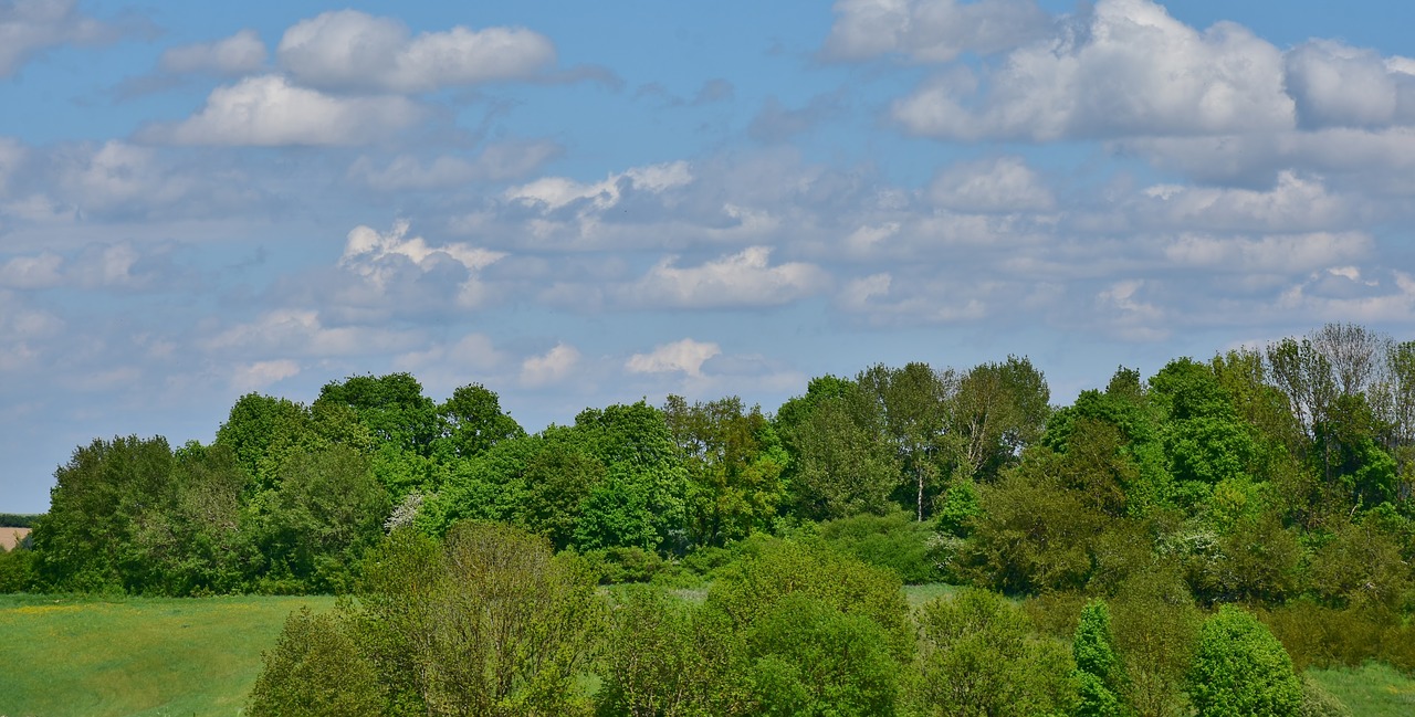 Pobūdį,  Panorama,  Medis,  Dangus,  Vasara,  Žolė,  Kraštovaizdis,  Saulės,  Atspindys,  Šviesus