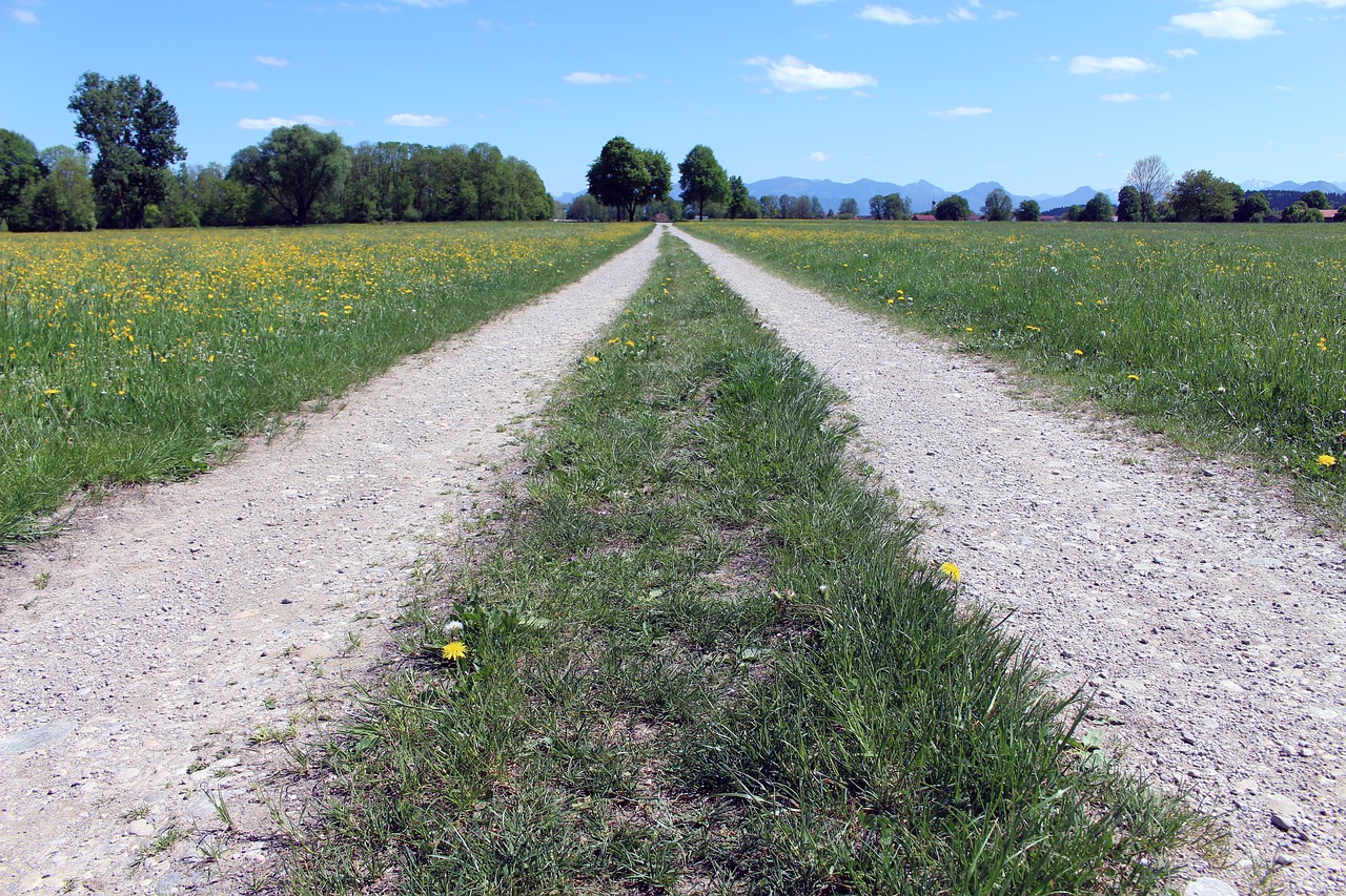 Pobūdį,  Žolė,  Kelių,  Laukas, Nemokamos Nuotraukos,  Nemokama Licenzija