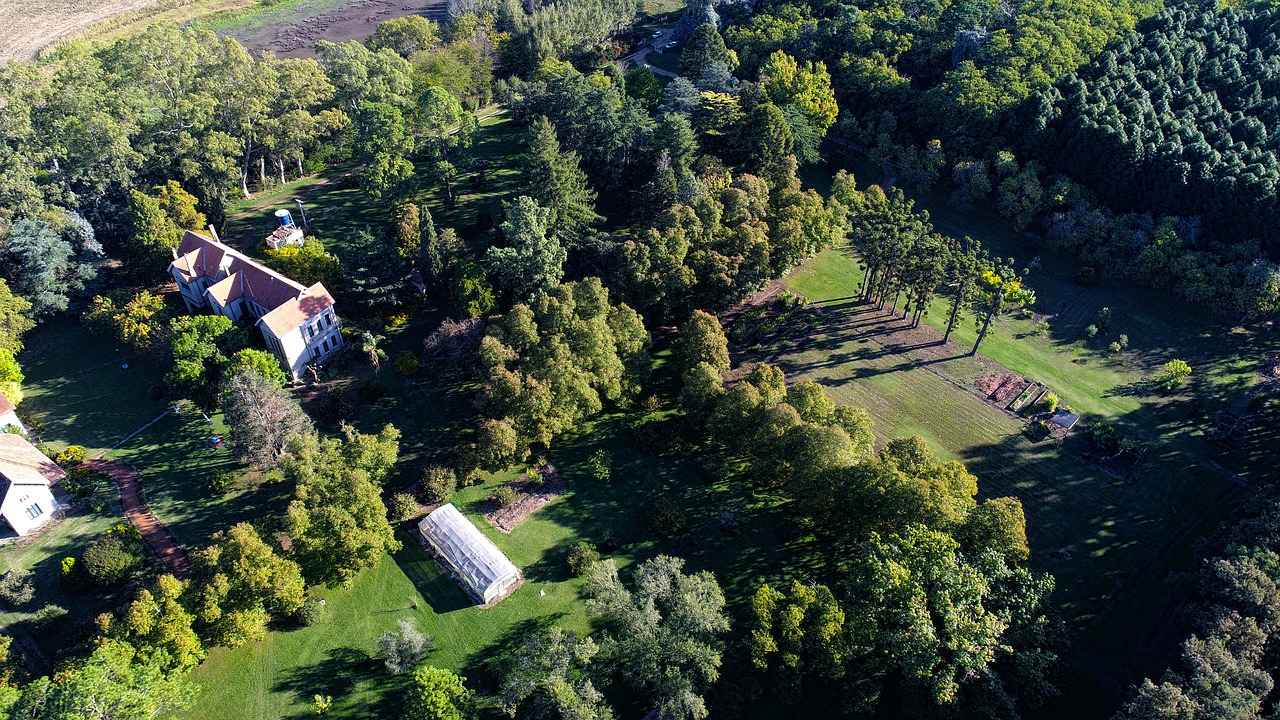 Pobūdį,  Kraštovaizdis,  Panoraminis,  Miškas,  Tranų,  Panoraminis Vaizdas,  Medžiai, Nemokamos Nuotraukos,  Nemokama Licenzija