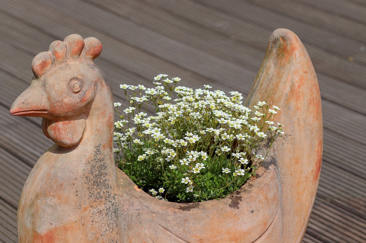 Pobūdį,  Roof Garden,  Hahn,  Gegužė,  Stogo Terasa,  Augalų,  Gėlė,  Terasa,  Miestas,  Stogai