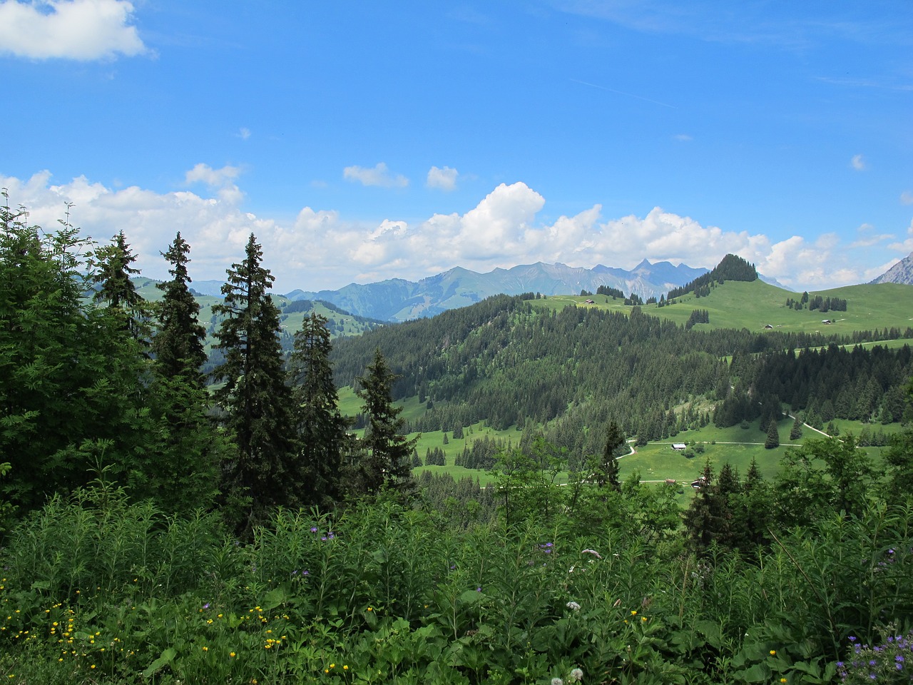 Pobūdį,  Kraštovaizdis,  Jura,  Dangus,  Mediena, Nemokamos Nuotraukos,  Nemokama Licenzija