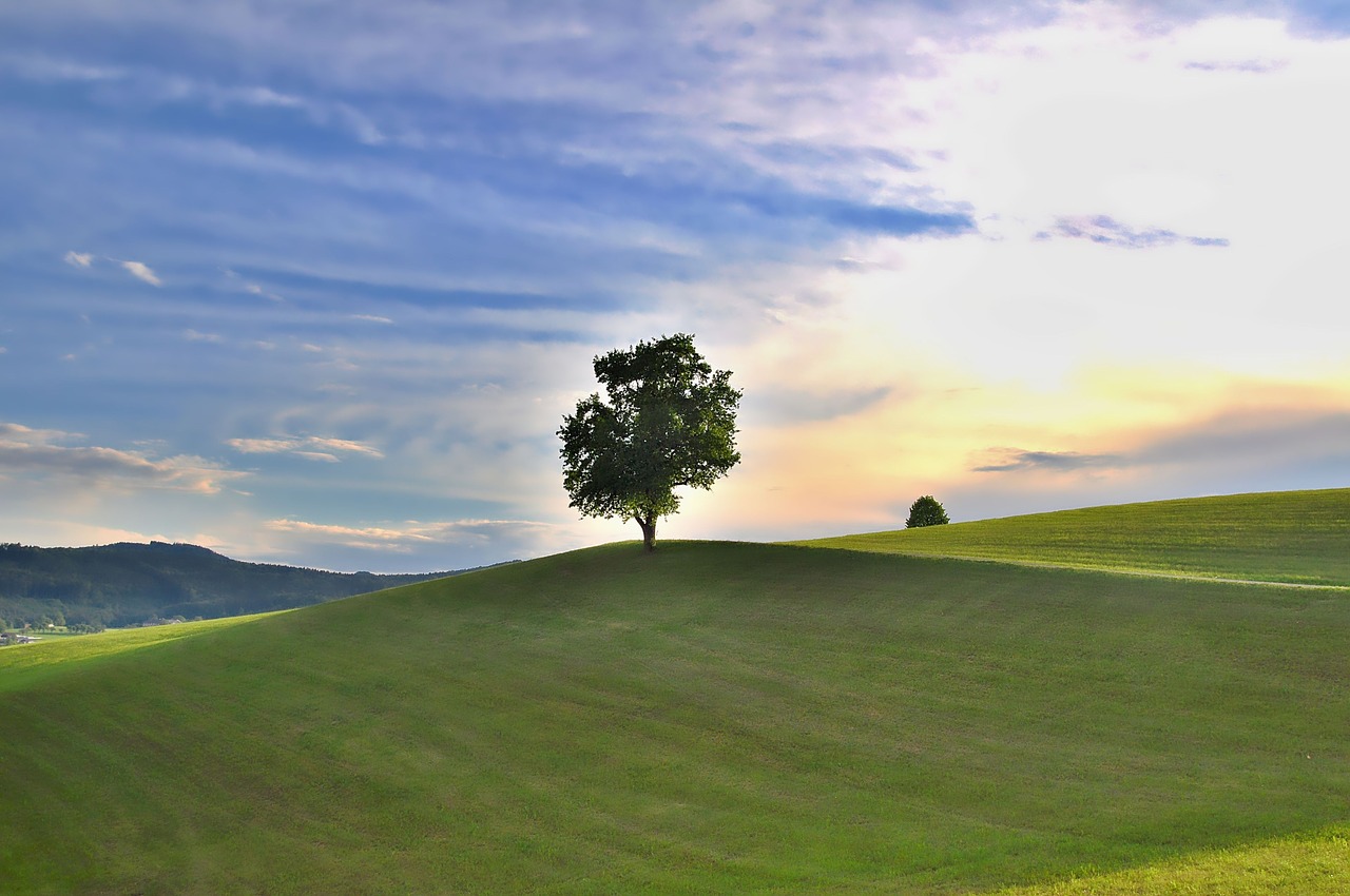 Pobūdį,  Kraštovaizdis,  Meadow,  Žalia Pieva,  Medis,  Hills, Nemokamos Nuotraukos,  Nemokama Licenzija