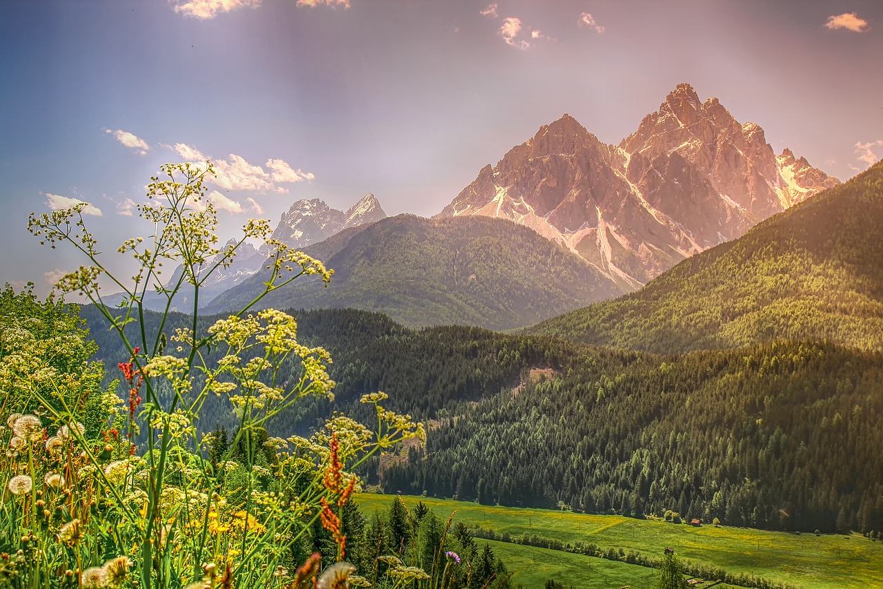 Pobūdį,  Kraštovaizdis,  Kalnai,  Alpine,  Pietų Tirolio,  Meadow,  Gėlės,  Sniegas,  Summit,  Žalias