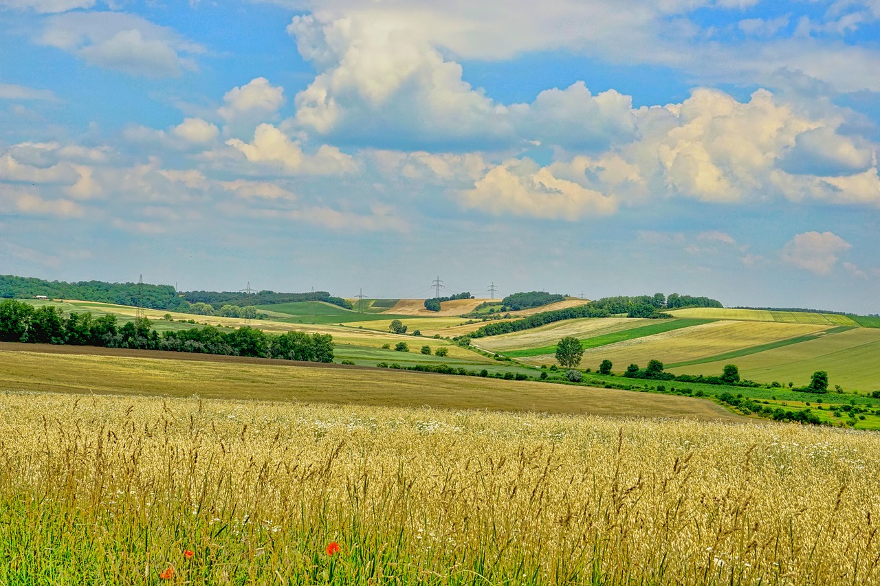 Pobūdį,  Kraštovaizdis,  Panorama,  Dangus,  Debesys,  Žemdirbystė,  Javų Laukai, Nemokamos Nuotraukos,  Nemokama Licenzija