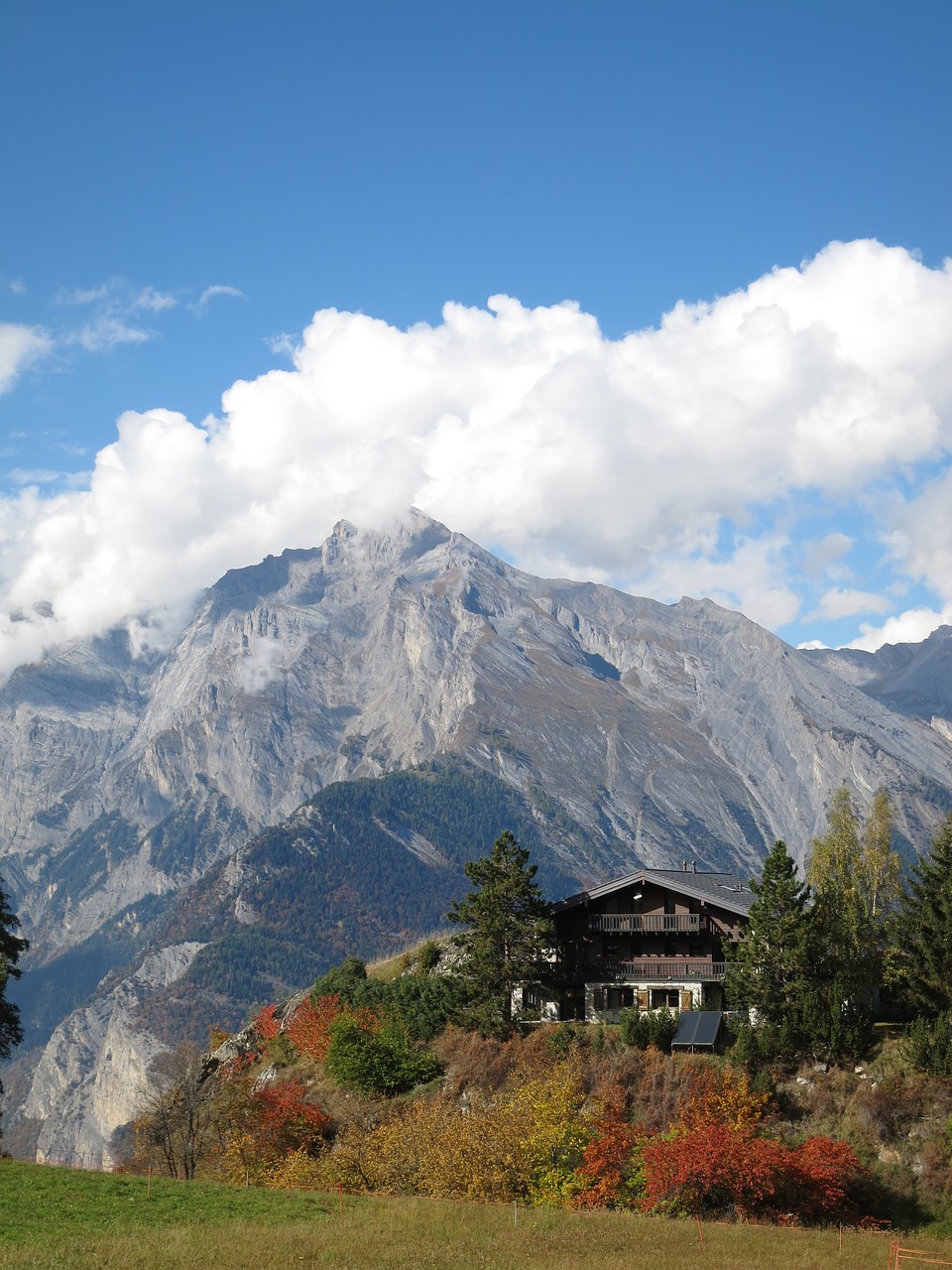 Pobūdį,  Montavimo,  Valais,  Klozetas, Nemokamos Nuotraukos,  Nemokama Licenzija