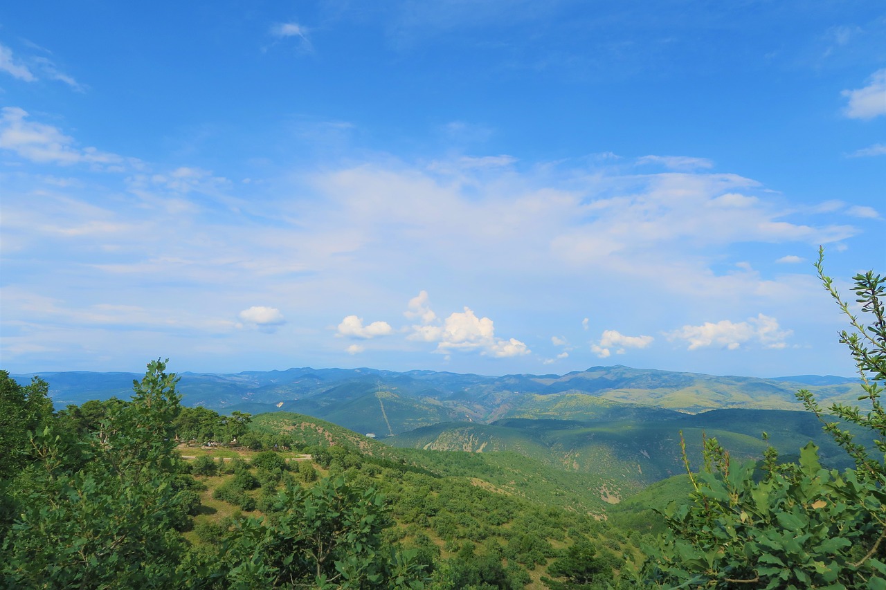 Pobūdį,  Kraštovaizdis,  Miškas,  Medžiai,  Kalnai, Nemokamos Nuotraukos,  Nemokama Licenzija