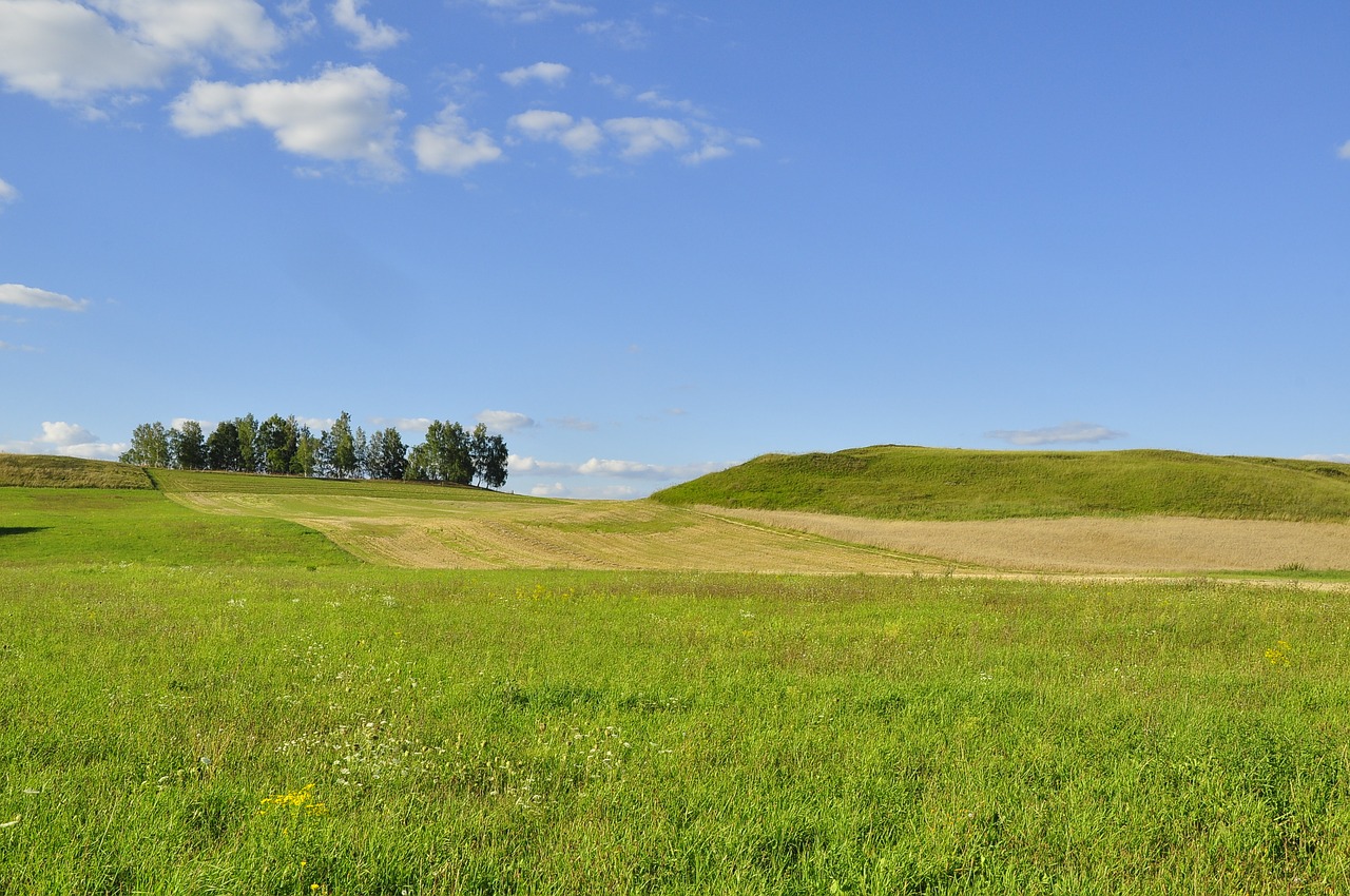 Pobūdį,  Medis,  Aplinka,  Peizažas,  Pievos,  Vasara,  Fonas,  Ramybė,  Kraštovaizdis,  Dangus