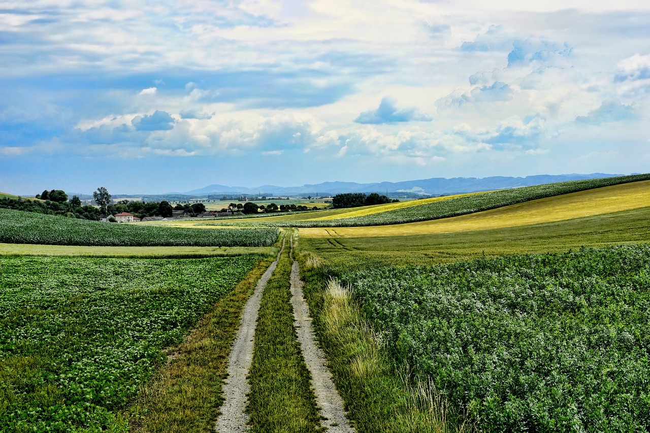 Pobūdį,  Kraštovaizdis,  Lane,  Debesys,  Dangus,  Vaizdingas,  Panorama,  Idiliškas,  Vasara, Nemokamos Nuotraukos