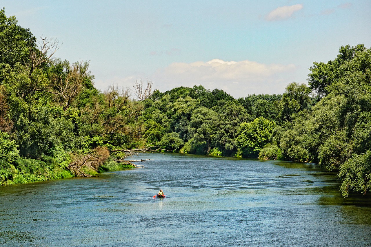 Pobūdį,  Kraštovaizdis,  Upė,  Valtis,  Medžiai,  Miškas,  Debesys,  Dangus,  Vanduo, Nemokamos Nuotraukos