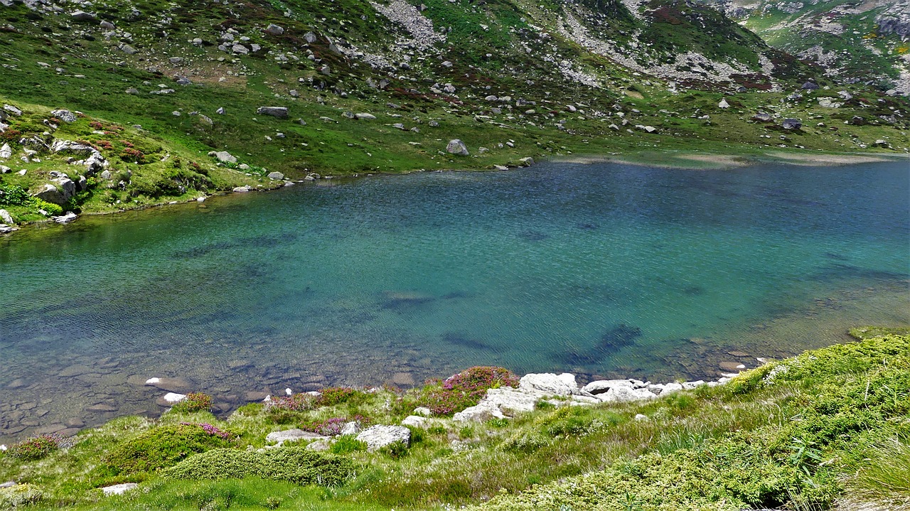 Pobūdį,  Kraštovaizdis,  Kalnų,  Ežeras,  Vasara, Nemokamos Nuotraukos,  Nemokama Licenzija