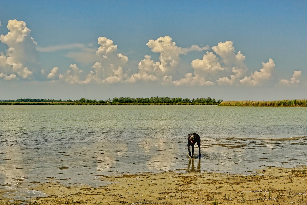 Pobūdį,  Kraštovaizdis,  Zicksee,  Panorama,  Dangus,  Debesys,  Vaizdingas,  Ežeras,  Vanduo, Nemokamos Nuotraukos