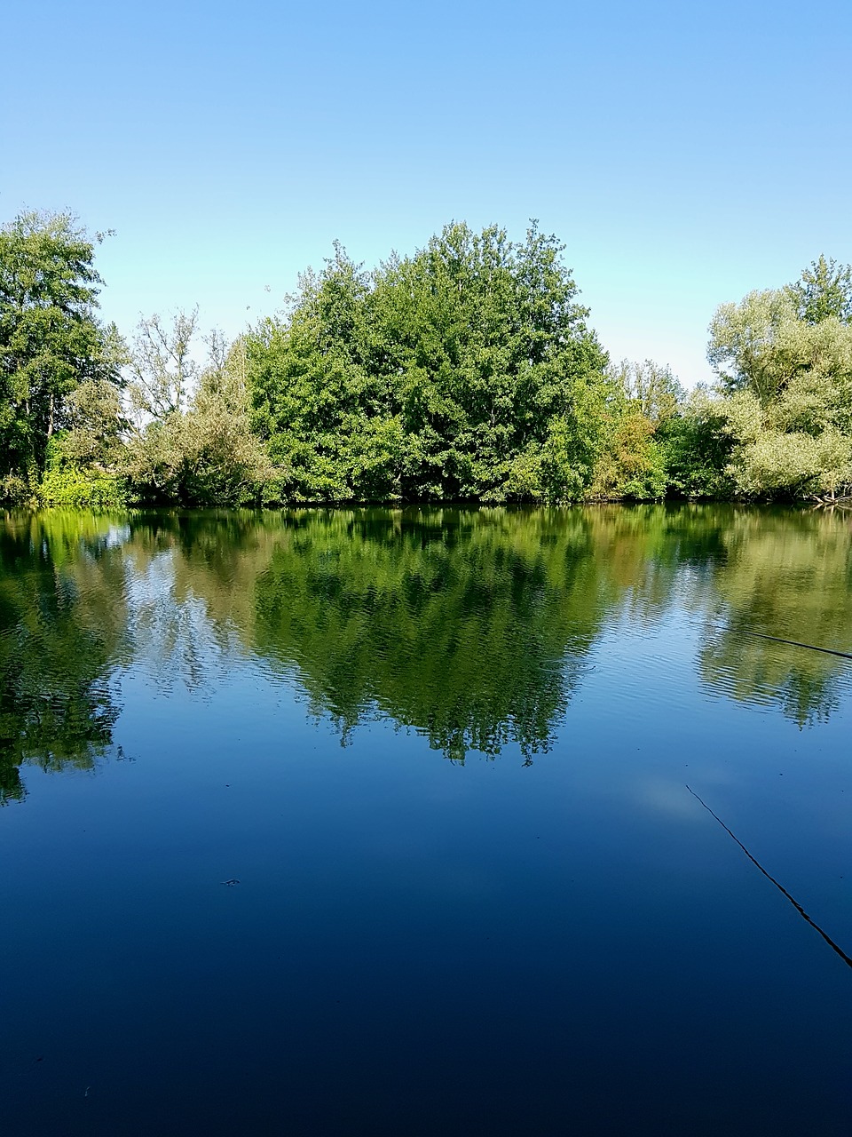 Pobūdį,  Vandens,  Žvejyba, Nemokamos Nuotraukos,  Nemokama Licenzija